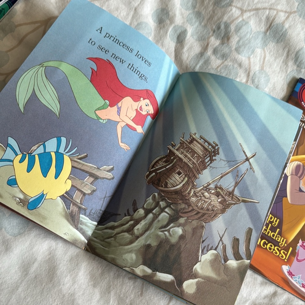 Step Into Reading Disney Princess Level 1 Pre-K / K Book Bundle - Picture 11 of 16